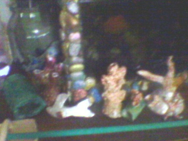 Оформил аквариум в стиле псевдо море при помощи керамики,которую изготавливает мой сын Александр ...