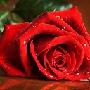 ���� �����, ������, 46 ��� - ��������� 8 �������� 2014 � ������ ������ ��������