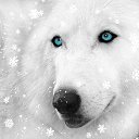  , , 24  -  22  2014   PetLove