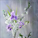 ���� �����, ��������� - ��������� 19 ������� 2014 � ������ ��� �� �����