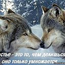 ���� �������, ������ - ��������� 17 �������� 2014 � ������ ������ ��������