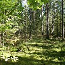 ���� �������, �������, 55 ��� - ��������� 9 �������� 2014 � ������ ����, ��� � ����.�