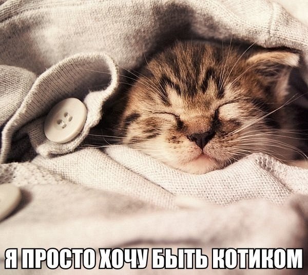   - 2  2014  10:06