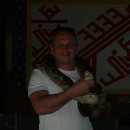 ���� �����, ��������� - ��������� 28 ������� 2014