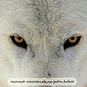 ���� ��������, ������, 51 ��� - ��������� 2 ������� 2014 � ������ ������ ��������