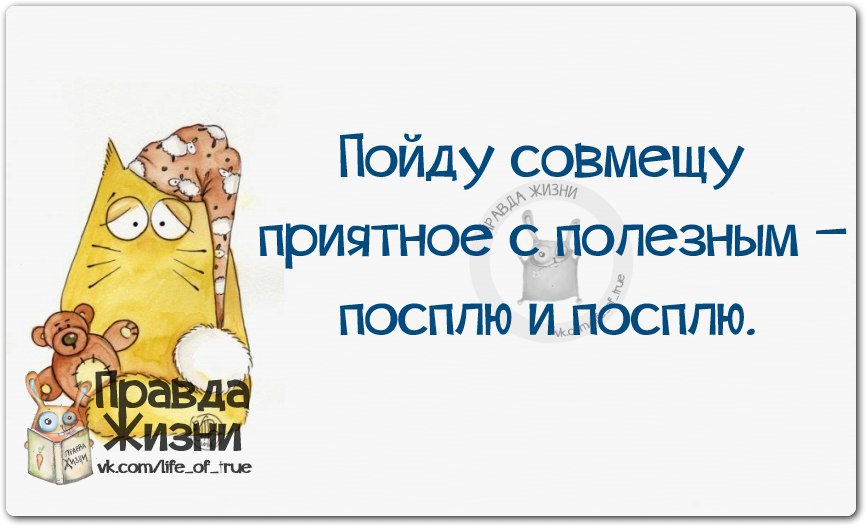 Сладкая правда. Совмещать приятное с полезным афоризмы. Совмещай приятное с полезным. Совмещать приятное с полезным. Совмещение приятного с полезным.