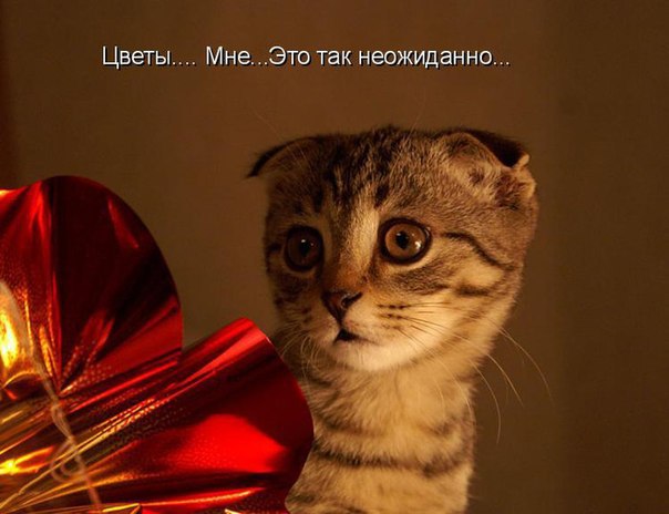    - 10  2014  18:10