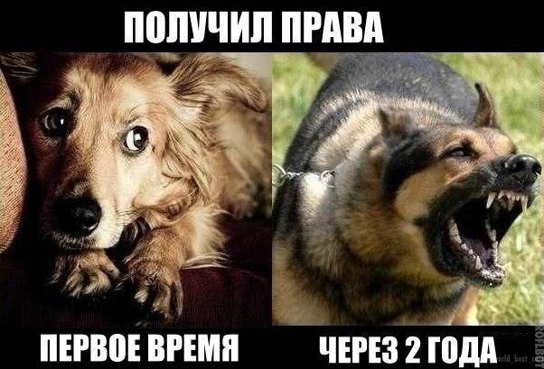   - 1  2014  20:16