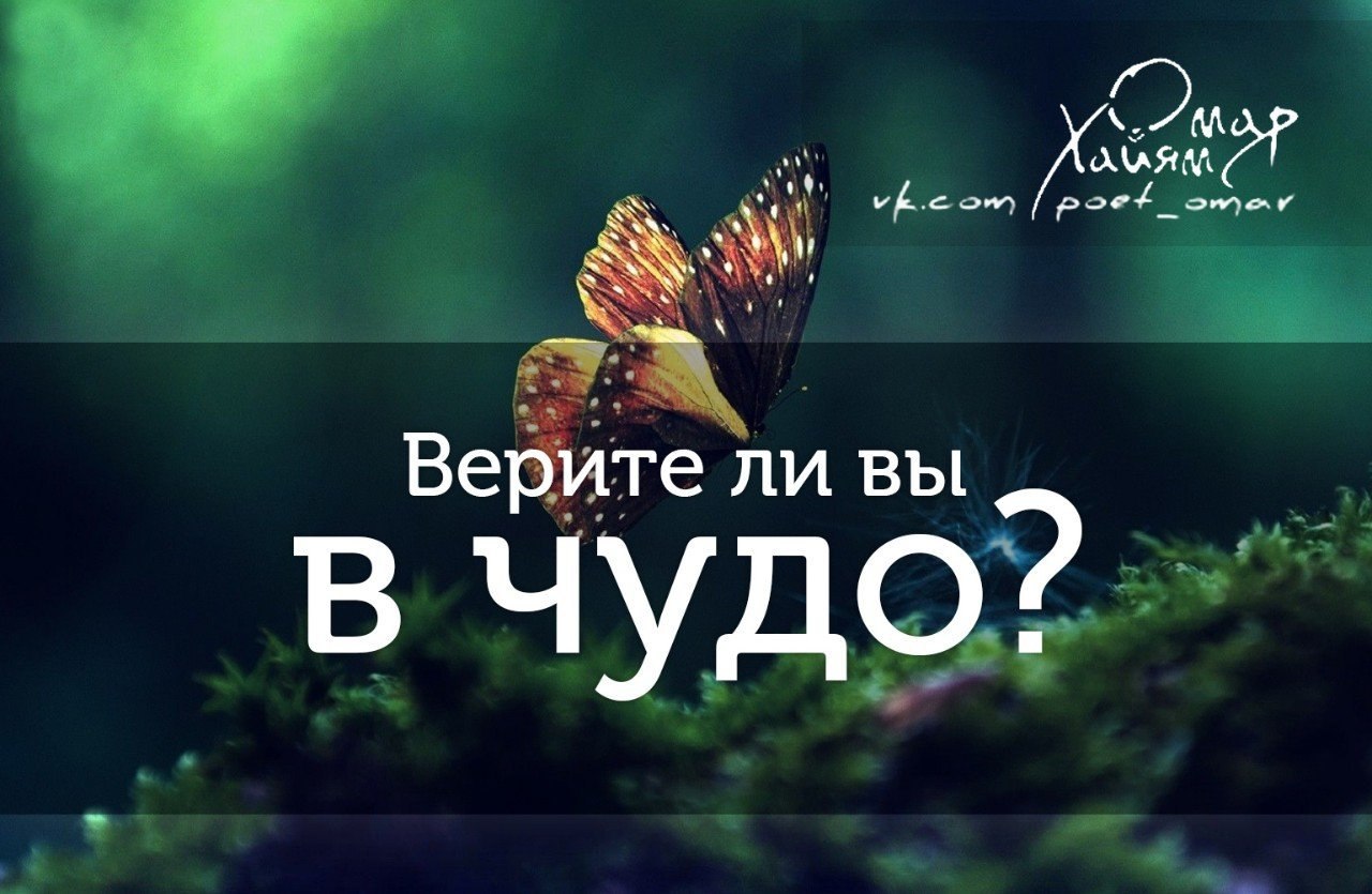 Ты не веришь в чудо. Верите ли вы в чудо. Вы верите в чудеса. Вы чудо.