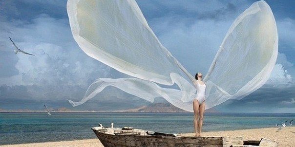 Мне перья дергали из крыл….А я — летала!Пытались воздух перекрыть…А я — дышала!Меня пугали — не ...
