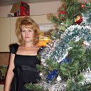 ������� ������ 2013 ����.