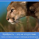 ���� ������, ������ - ��������� 25 ������� 2014 � ������ ���� ����