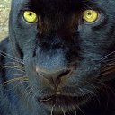 ���� Valentina, �������� - ��������� 27 �������� 2014 � ������ ������ ��������