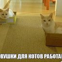 ���� �������, ����� - ��������� 12 ������� 2014 � ������ ���� ����������