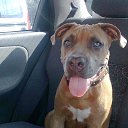 ���� ������, ���� - ��������� 6 ������� 2014 � ������ ������ ��������