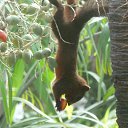  ,  -  4  2014    2014