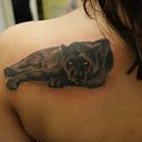 ���� ����, ������� - ��������� 18 ������ 2014 � ������ ���