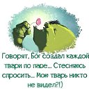 ���� �������, ���������, 46 ��� - ��������� 14 ������� 2014 � ������ ������ ��������