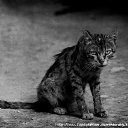 ���� ������, ���-�����, 48 ��� - ��������� 18 ������ 2014 � ������ ������ ��������