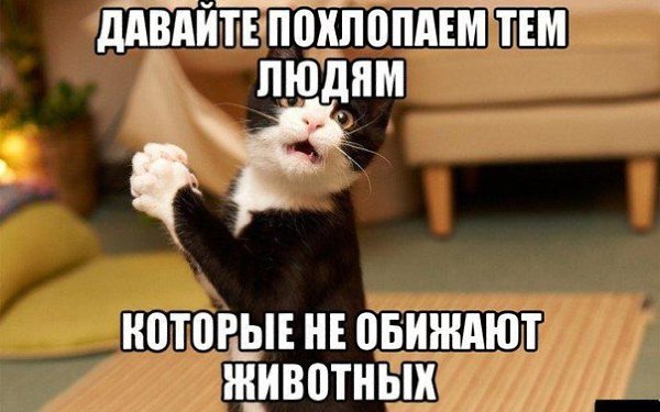    :D - 7  2014  16:09