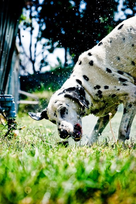  :   .           ... - 11