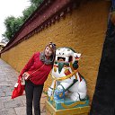 ���� ������, ����������� - ��������� 31 ������� 2014 � ������ ������