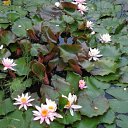 ���� ���, ������� - ��������� 25 ������� 2014 � ������ ���� ����������