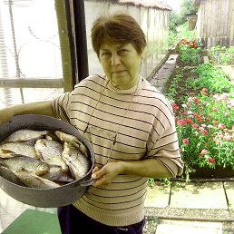 ���� ��������, ��������, 73 ���� - ��������� 5 �������� 2014