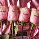 ���� �����, �����, 36 ��� - ��������� 7 ������ 2014 � ������ ������ ��������