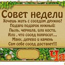 ���� ������ �-180��, ���������, 44 ���� - ��������� 20 ������ 2014 � ������ ��������