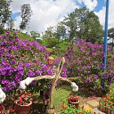 � ����� ������ �� ������� ����� ������ � ������ (�������)�