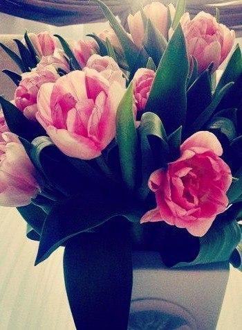    - 9  2014  03:15 - 4