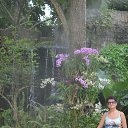 ���� �������, ���������, 72 ���� - ��������� 30 �������� 2014