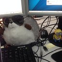 ���� �������, �����-��������� - ��������� 11 ������� 2014 � ������ ���� ����������