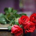 ���� &hearts; ������� &hearts;, ������ - ��������� 20 �������� 2014 � ������ ������ ��������