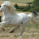 ���� �����, ��������� - ��������� 24 �������� 2014 � ������ ���� ����������