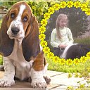 ���� �������, �����-���������, 54 ���� - ��������� 26 ������� 2014 � ������ ����� ����