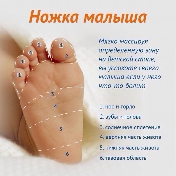 Массаж ступней.***Сидит белка на тележке,(круговыми движениями гладим пяточку)Раздает она ...