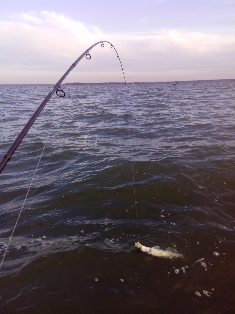 ����� ������� - 10 ������ 2014 � 22:51 - 2