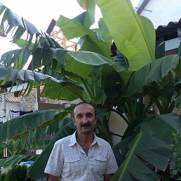 ���� Mikail, ��������� - ��������� 17 �������� 2014