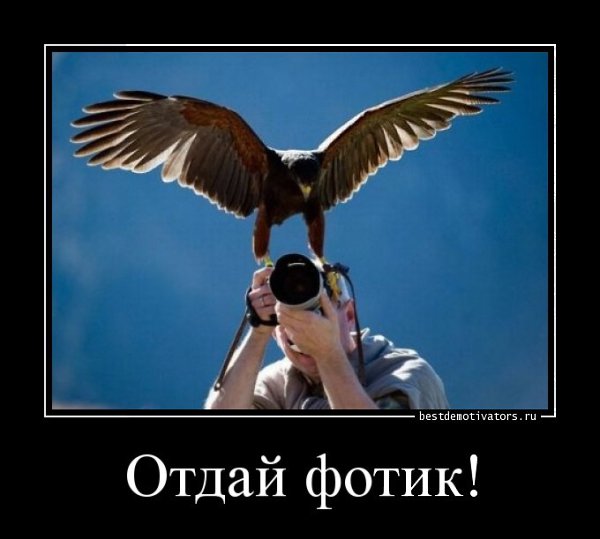 �������������� �� ���: fotostrana.ru/public/232203 ;-)