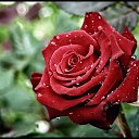 ���� �����, ������� - ��������� 23 ������� 2014 � ������ ���� ����������