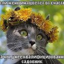 ���� ��������� ������������, ������ �������� - ��������� 15 �������� 2014 � ������ �������