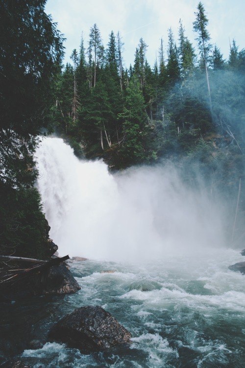 tumblr - 29  2014  19:26