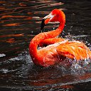 ���� �������, �����-���������, 70 ��� - ��������� 7 �������� 2014 � ������ ���� ����������