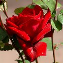 ���� Polina, ���� - ��������� 29 ������� 2014 � ������ ������ ��������