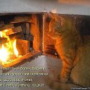 ���� ������, ����������, 47 ��� - ��������� 1 ������� 2014 � ������ ������ ��������