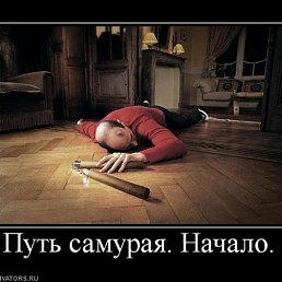 ���� �������, ���������, 46 ��� - ��������� 18 ������ 2014