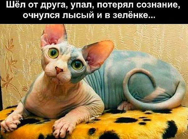  -  - 5  2014  04:23