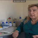 ���� Inga, �������, 64 ���� - ��������� 9 ������� 2014 � ������ ���� ����������